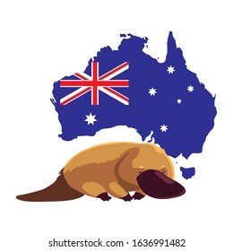 Platypus with map of Australia in the background. vector illustration design.