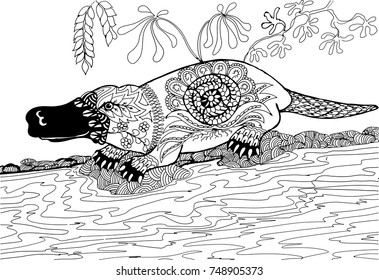 The platypus on the banks. Hand drawn patterns for coloring. Freehand sketch drawing for adult antistress coloring book