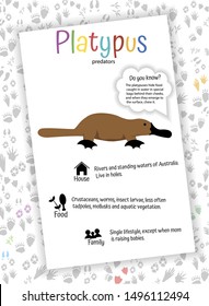 Platypus On White Background. Food, Habitat, Interesting Facts. Educational Cards For Children, Preschoolers, Kindergarten, Home Schooling. Learning English