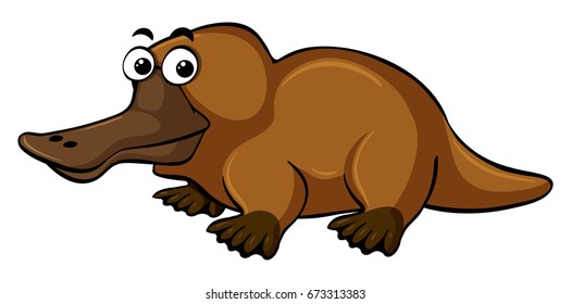 Platypus on white background illustration