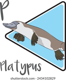 The platypus is one of Australia’s most iconic native animals. The platypus is generally active at night and dusk, and occasionally active by day. Platypuses are generally solitary. Males often fight 