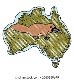 platypus over australian map wild animal