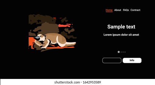 platypus running from forest fires in australia animals dying in wildfire bushfire natural disaster concept intense orange flames horizontal copy space vector illustration