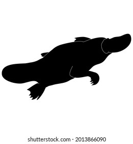 Platypus sea animal black silhouette outline vector illustration. A part of ocean wildlife.