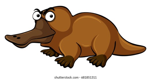 Platypus with serious face illustration