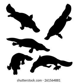 Platypus set of silhouettes vector