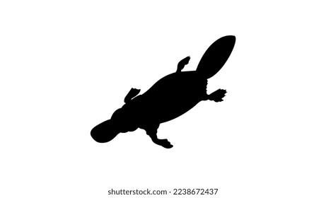 Platypus silhouette high quality vector