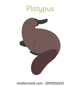 the platypus is sitting. Australian bird in a simple style. Flat vector illustration