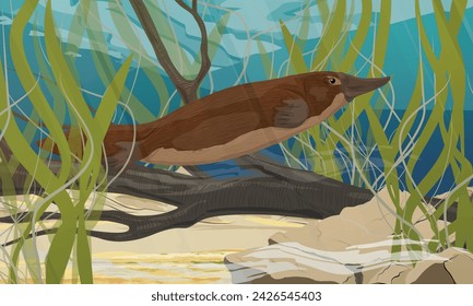 El ornitorrinco nada más pasar una rama que yace en el fondo de un lago. Especies endémicas de Australia y Tasmania. Paisaje vectorial realista