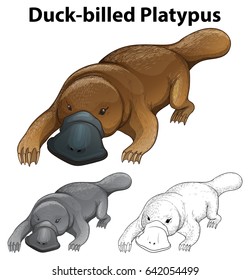 Platypus in three styles