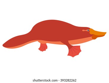 Platypus vector illustration