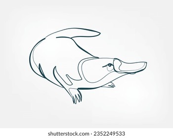 platypus vector line art animal wild life single one line hand drawn illustration isolated