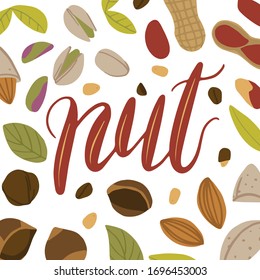 play on words illustration with cute lettering. NUTS Cute vector hand drawn cartoon art for greeting card, poster, banner, invitation, designs