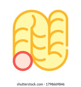 play toy for scratch claws color icon vector. play toy for scratch claws sign. isolated symbol illustration