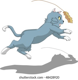 Played cat on a white background
