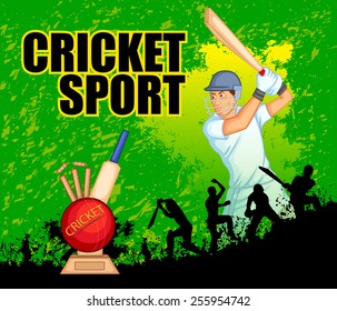 Player playing game of cricket in vector