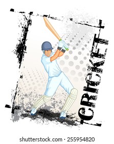 Player playing game of cricket in vector