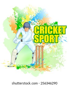 Player playing game of cricket in vector