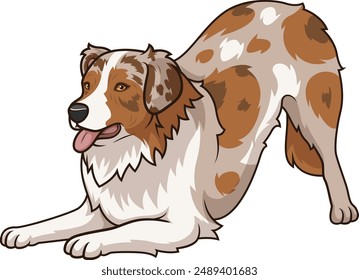 Verspielte Australian Shepherd Vektorillustration