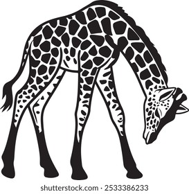 Playful Baby Giraffe Silhouette with Arched Neck on White Background for Safari-Themed Designs, Symbol giraffe icons in flat black color isolated on white background