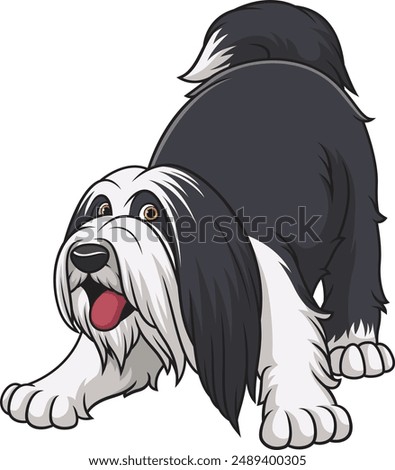 Playful bearded collie dog vector illustration
