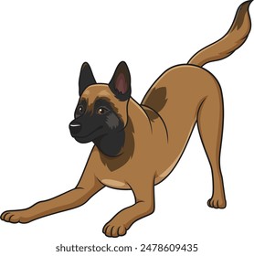 Playful belgian shepherd vector illustration