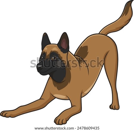 Playful belgian shepherd vector illustration