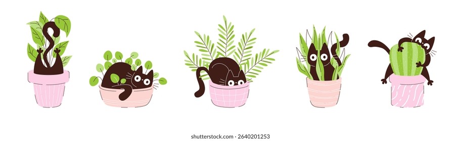 Playful black cats interacting with houseplants in flower pots. Fun pets peeking hiding and climbing among leaves. Flat vector illustration perfect for kids designs decor and prints