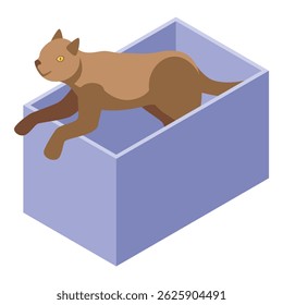 Playful brown cat exiting a purple box, showcasing its curiosity and love for exploring confined spaces