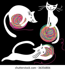 Playful cat