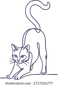Gato juguetón que arquea su espalda y levanta la cola en una pose de estiramiento con una expresión amistosa.
