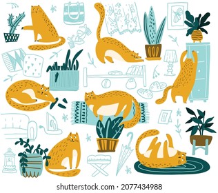 Playful cat flat hand drawn vector color character set. Cute, mischievous cats lie, sit in the interior of the house.