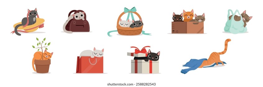 Playful Cat as Fluffy Feline with Cute Snout at Home Vector Set