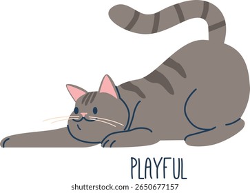 Playful cat pet animal language