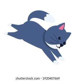 Playful cat running icon. Cartoon of playful cat running vector icon for web design isolated on white background