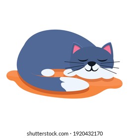 Playful cat sleeping icon. Cartoon of playful cat sleeping vector icon for web design isolated on white background