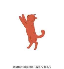 Playful cat standing on its hind legs, cartoon flat vector illustration isolated on white background. Cute and furry kitty playing. Great for pet shop or veterinary clinic designs.