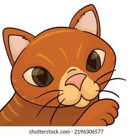 Playful cat with striped and orange fur and cute paw raised in cartoon style.