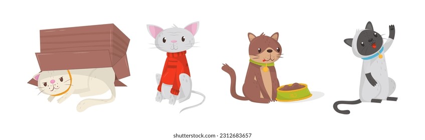 Playful Cats as Fluffy Feline with Cute Snout in Different Pose Vector Set