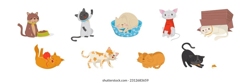 Playful Cats as Fluffy Feline with Cute Snout in Different Pose Vector Set