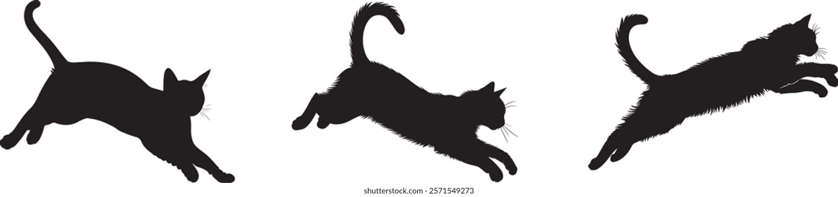 Playful Cats Silhouettes Collection Arts