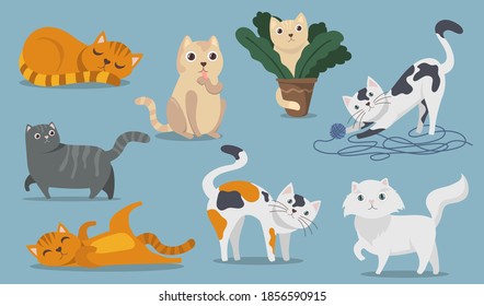 Playful cute cats flat item set. Cartoon fluffy kitties, kittens and tabbies sitting, playing, lying and sleeping isolated vector illustration collection. Pets and animals concept