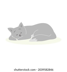 Playful cute cats flat vector