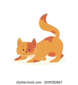 Playful cute cats flat vector
