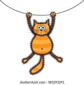playful cute furry striped red cat caught the rope and hanging