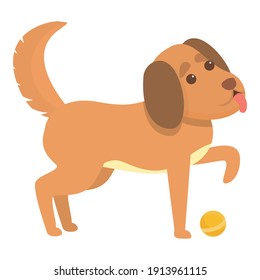 Playful dog with dog icon. Cartoon of playful dog with dog vector icon for web design isolated on white background