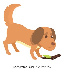 Playful dog wood stick icon. Cartoon of playful dog wood stick vector icon for web design isolated on white background