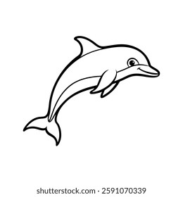 A playful dolphin jumping  on white background