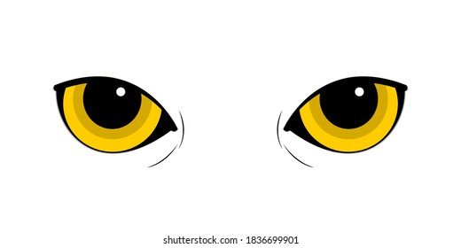 playful expressions from cat with yellow eyes