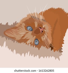 Playful ginger cat  lying on the back.  Cat with character. Portrait of the cat.
